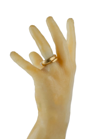 Parts of Four, Split Mountain Ring