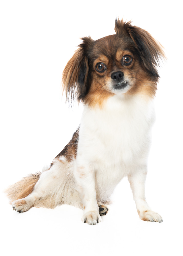 Lilu - Krisenintervention